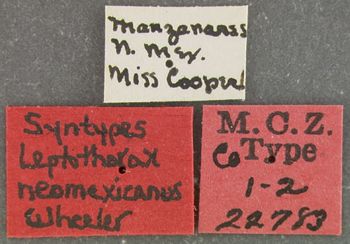 Media type: image;   Entomology 22783 Aspect: labels